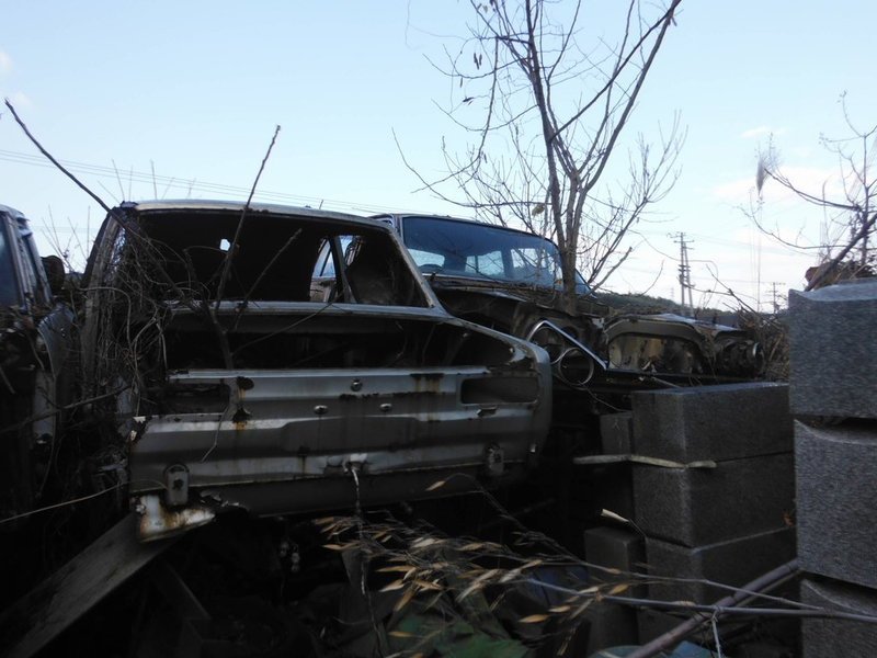 Illustration for article titled It is not over yet: Abandoned cars part 4